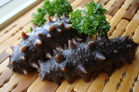 朝鲜东海六排刺干