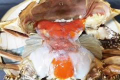 凤城酱母蟹